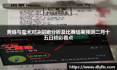 黄蜂与魔术对决前瞻分析及比赛结果预测二月十五日精彩看点
